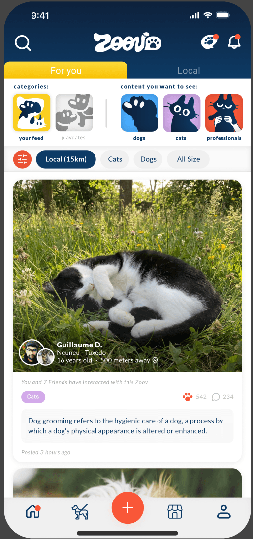 For You feed — Zoovo app screen